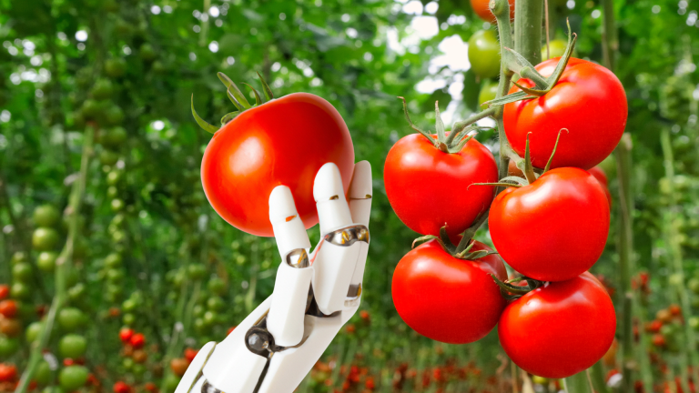 Innover pour relever les défis liés à la main-d&rsquo;œuvre dans le secteur de l&rsquo;agriculture et de l&rsquo;agroalimentaire
