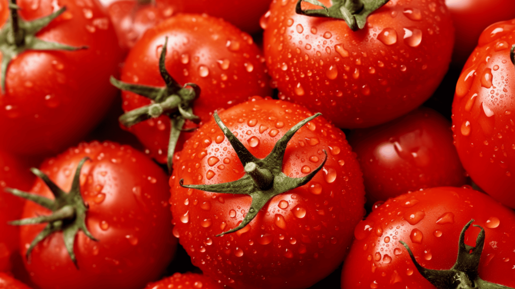 5 recettes faciles à la tomate pour la rentrée et l’automne