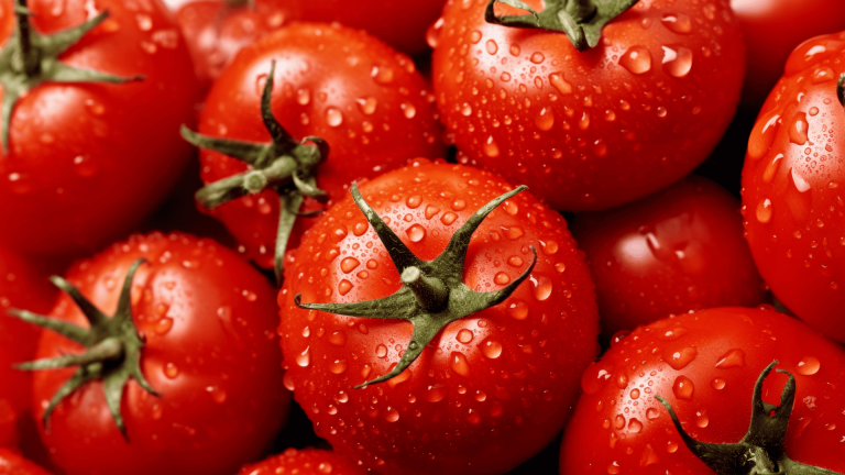 5 recettes faciles à la tomate pour la rentrée et l’automne