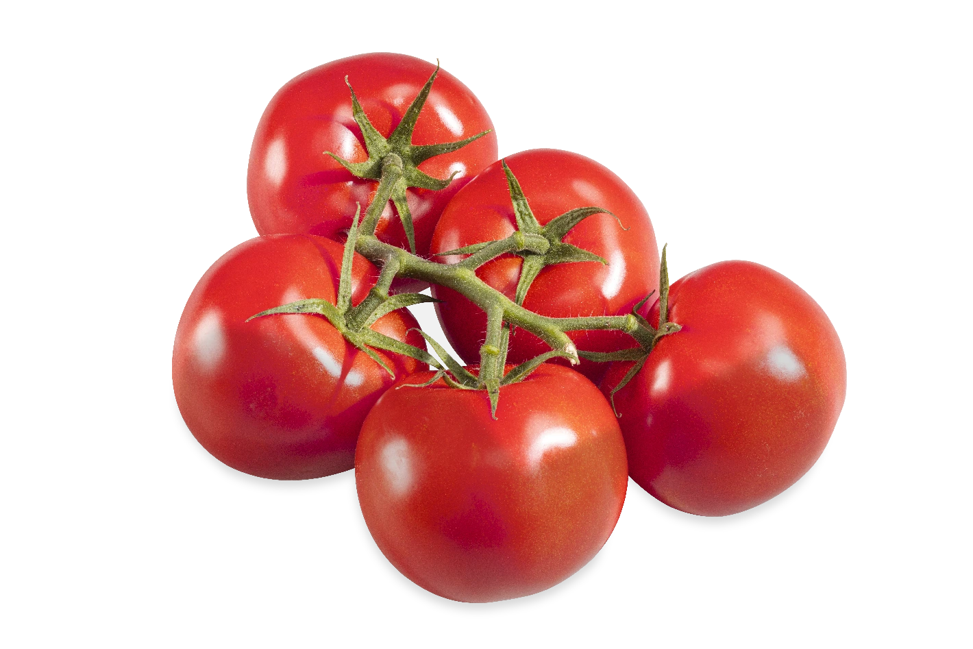 Nos tomates - Savoura