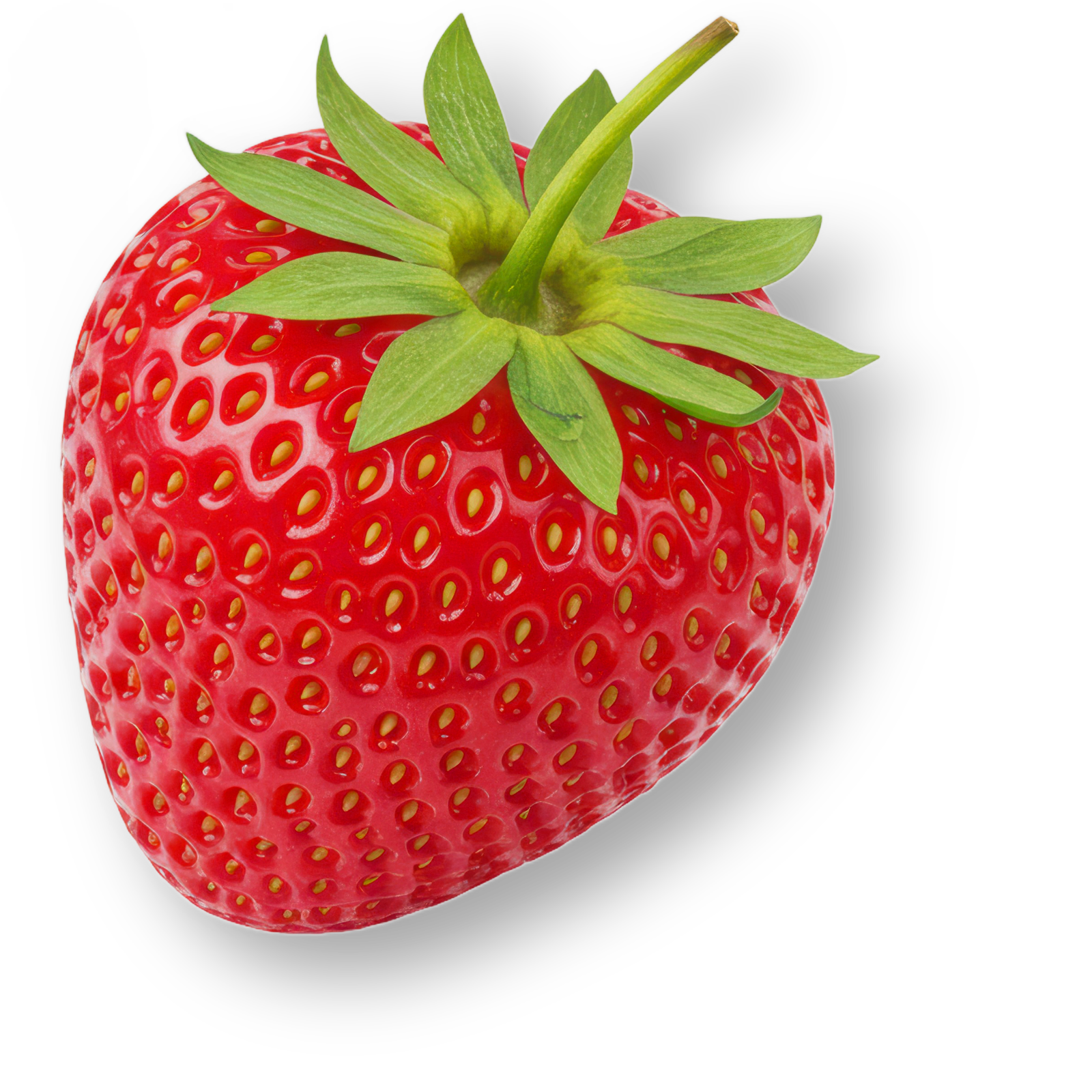Savoura - Fraise