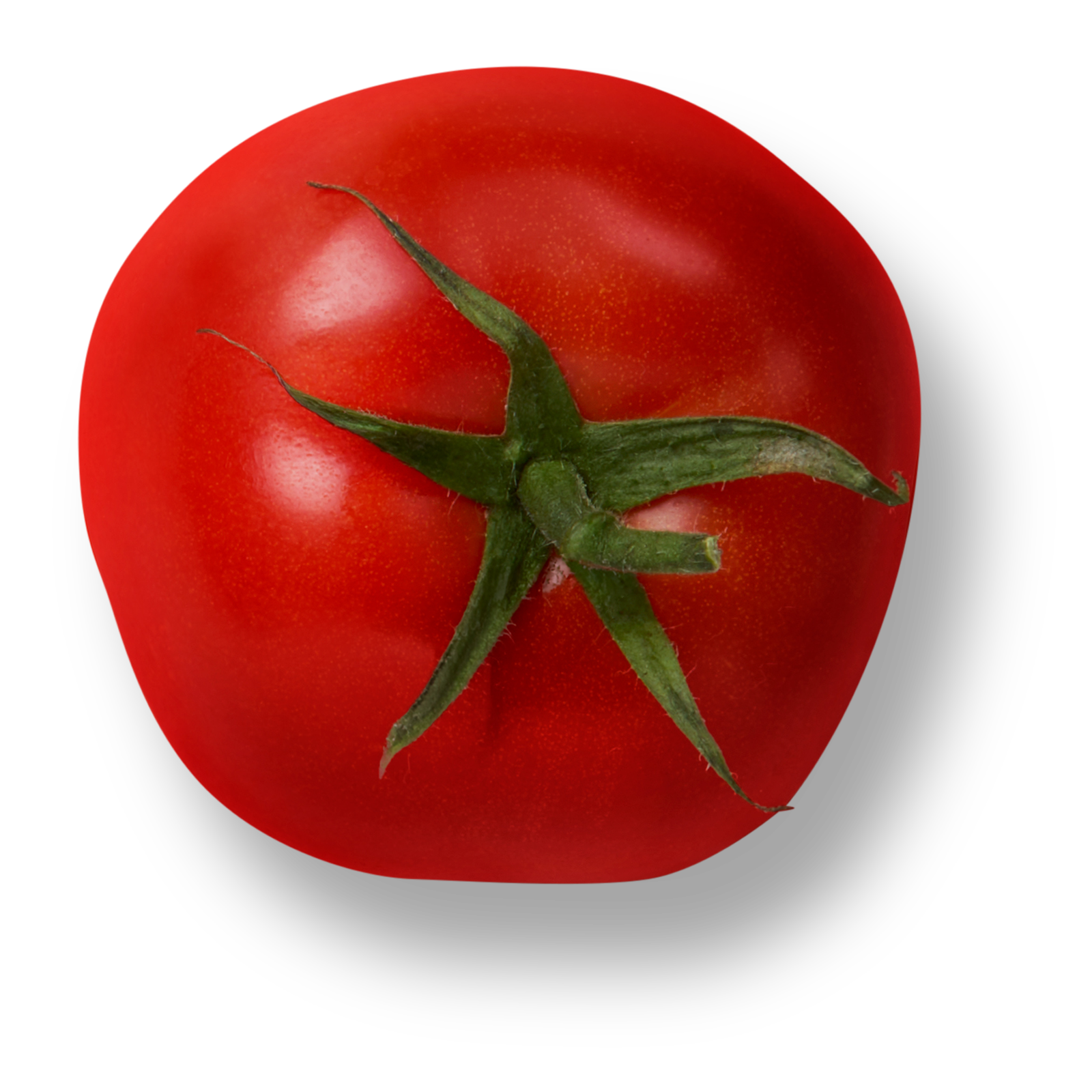 Savoura - Tomate