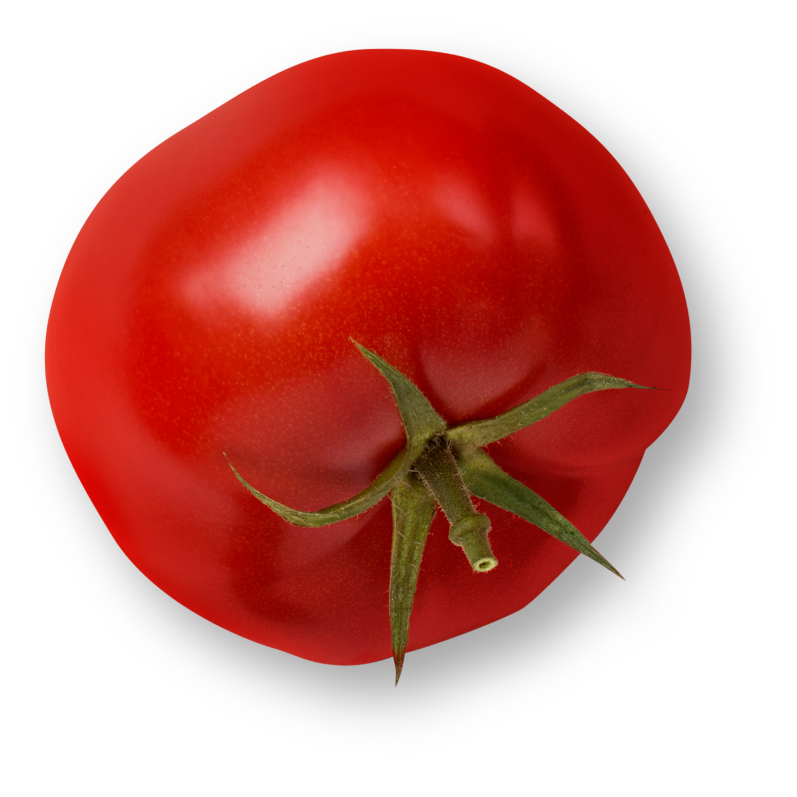 Savoura - Tomate
